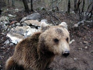 Parc national sjeverni velebit 2