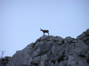 parc national sjeverni Velebit 3