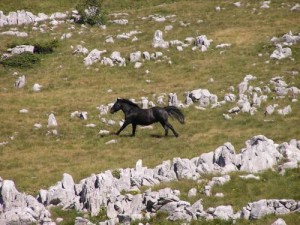 parc national sjeverni velebit croatie